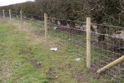 Stock Fencing